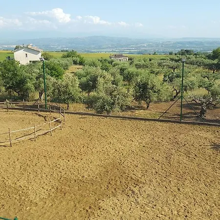 Del Sole